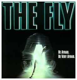 theflyborder